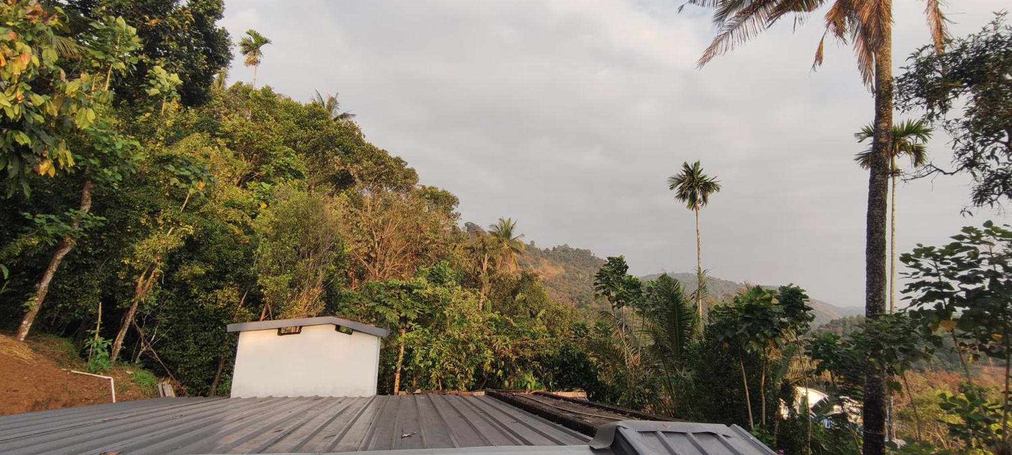 Koonamparayil Home Stay Munnar Anaviratty-Family Only Екстериор снимка