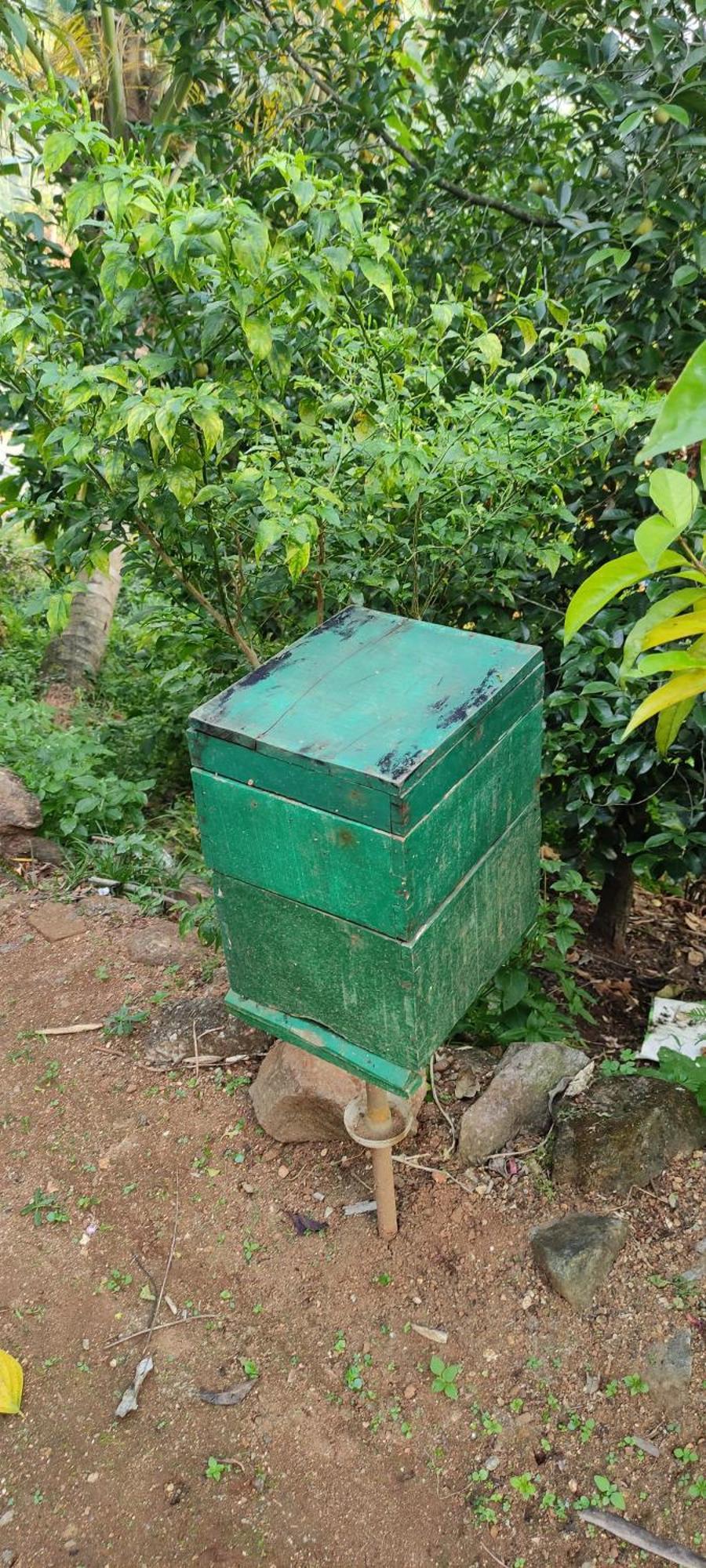 Koonamparayil Home Stay Munnar Anaviratty-Family Only Екстериор снимка