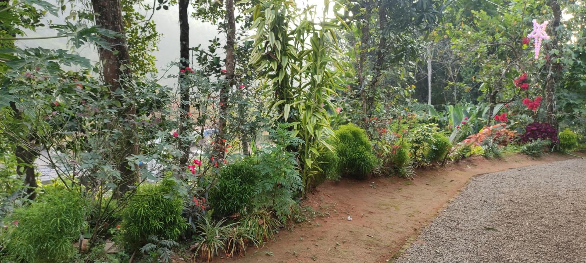Koonamparayil Home Stay Munnar Anaviratty-Family Only Екстериор снимка