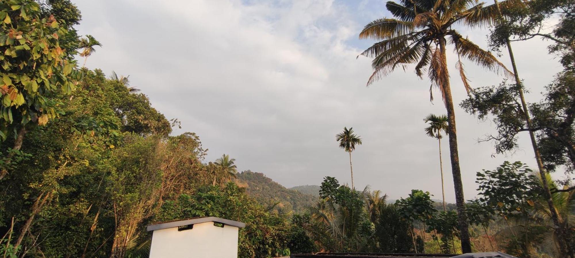 Koonamparayil Home Stay Munnar Anaviratty-Family Only Екстериор снимка