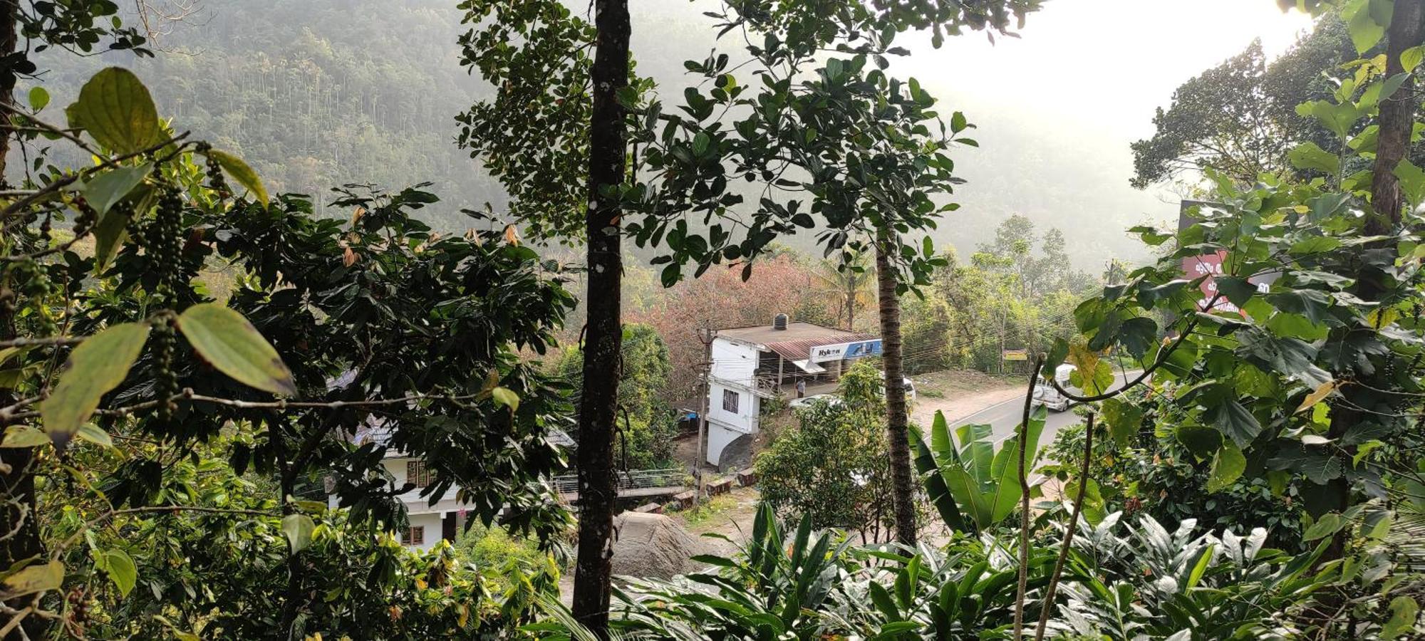 Koonamparayil Home Stay Munnar Anaviratty-Family Only Екстериор снимка